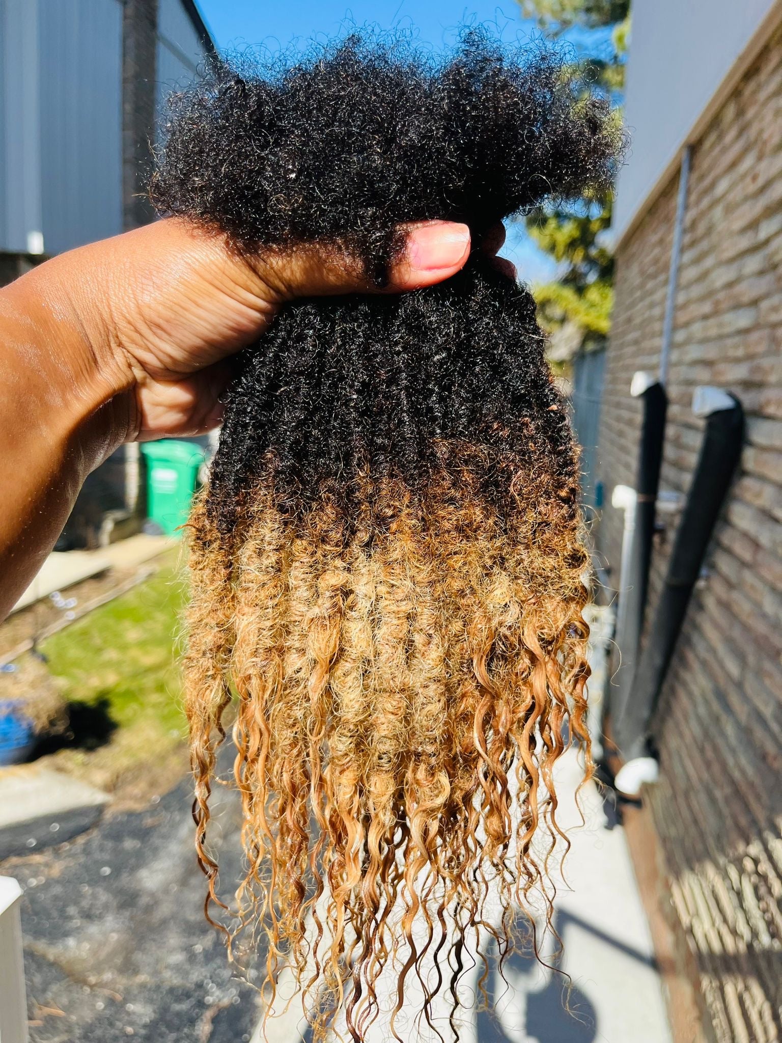 Goddess locs (100 strands)
