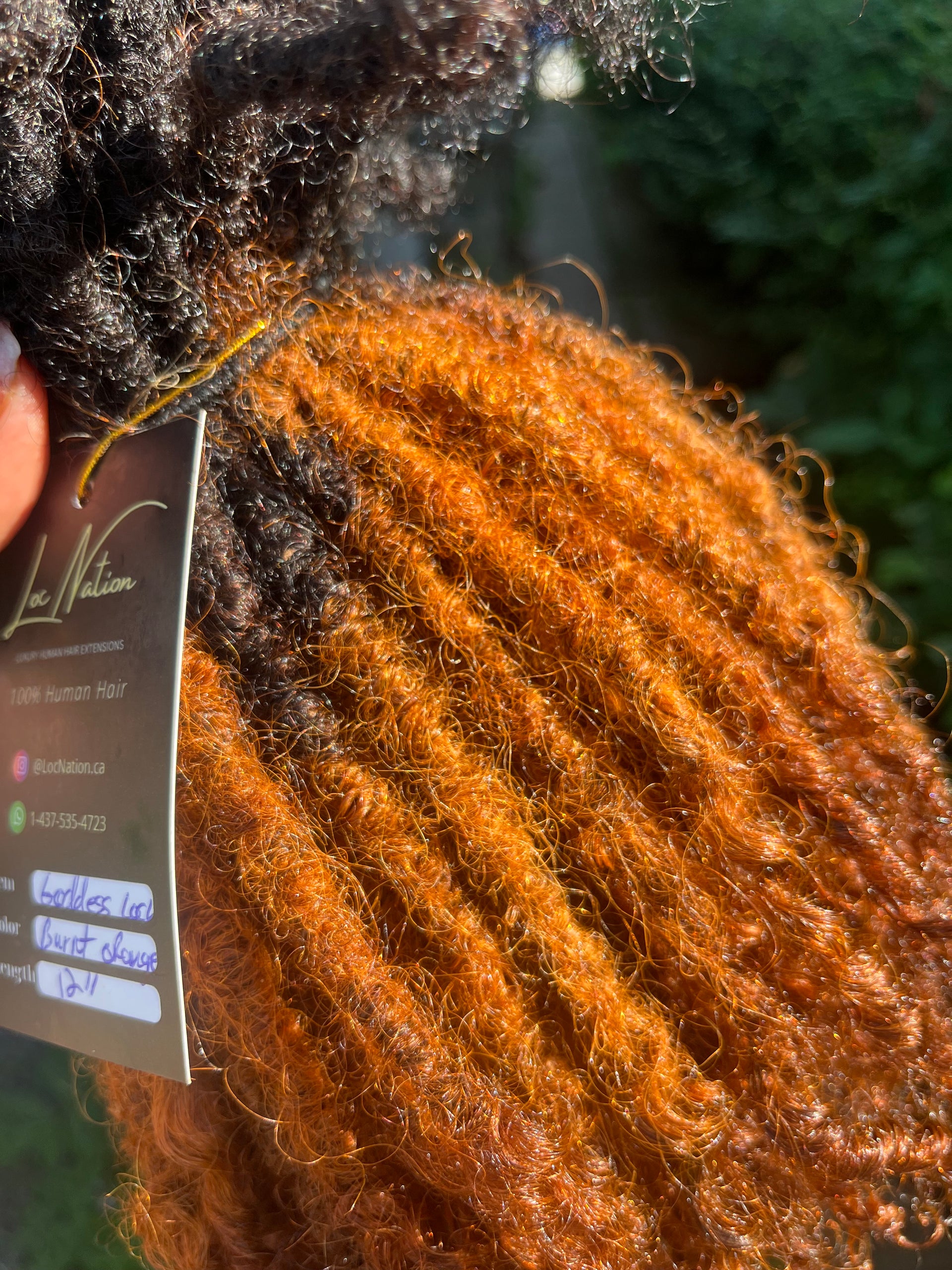 Goddess locs (100 strands)